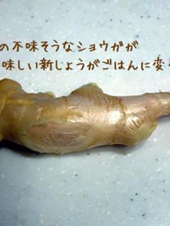 さっぱりと!新生姜ご飯-レシピのメイン写真