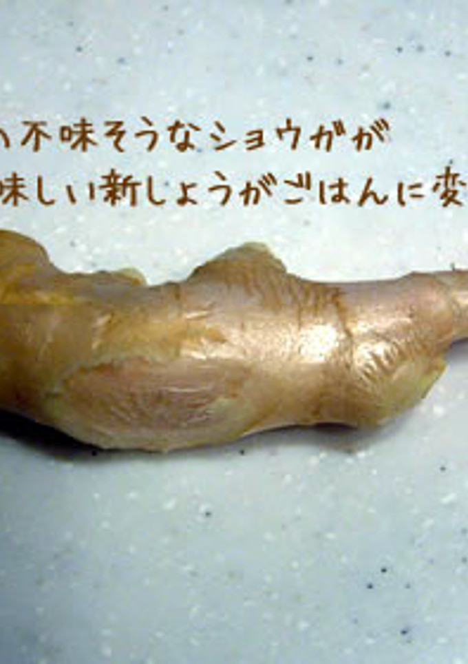 さっぱりと!新生姜ご飯-レシピのメイン写真