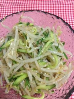 モヤシとキュウリのナムル-レシピのメイン写真