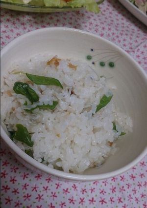 甘長唐辛子の混ぜごはん-レシピのメイン写真