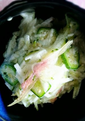 ☆夏野菜の小鉢☆ねばねば和え☆-レシピのメイン写真
