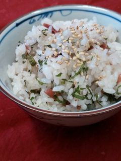 梅干しで*炊き込み御飯-レシピのメイン写真