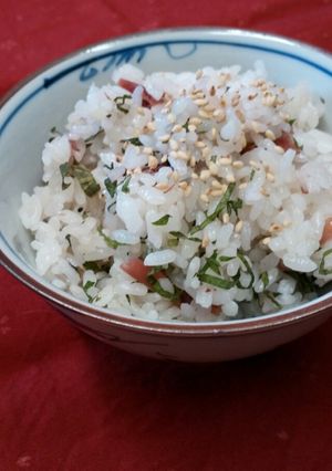 梅干しで＊炊き込み御飯-レシピのメイン写真