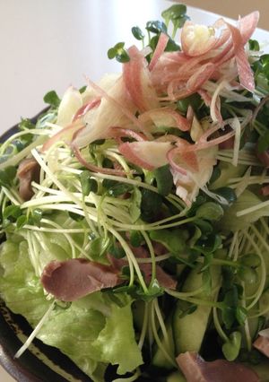 砂肝と香味野菜のサラダドレッシング2色で-レシピのメイン写真