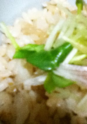 売切御免！鯛飯 さらに 鯛茶漬け-レシピのメイン写真