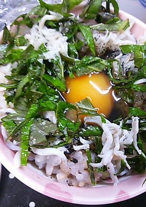 夏のさっぱりシラスと大葉の卵かけごはん-レシピのメイン写真