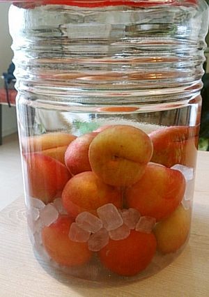 基本の果実酒（プラム）-レシピのメイン写真