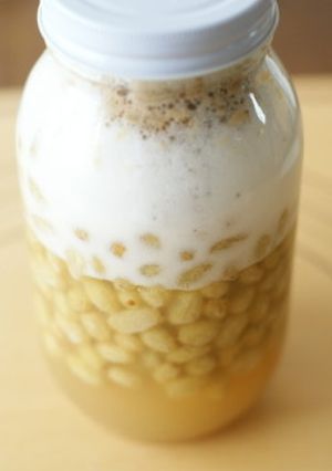 冷凍グリーンレーズンで酵母作り-レシピのメイン写真
