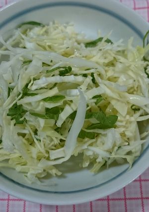 しその葉入り＊千切りキャベツ-レシピのメイン写真