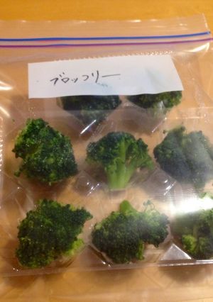 お弁当用ブロッコリーの冷凍保存方法☆-レシピのメイン写真