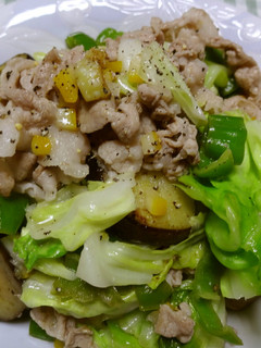 豚肉と野菜の塩レモン炒め-レシピのメイン写真