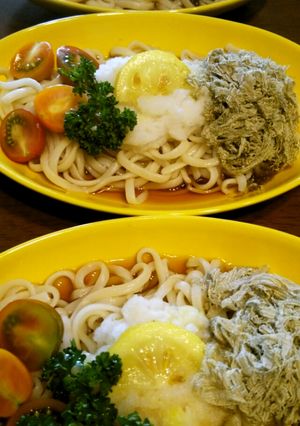 塩レモン＊冷やしうどん！ヌードルメーカー-レシピのメイン写真