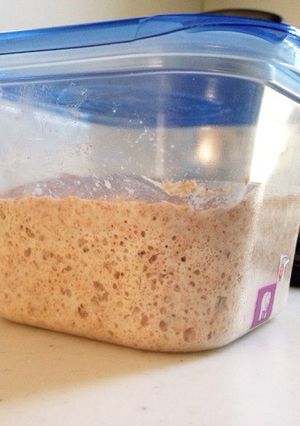 自家製酵母液 梅 で中種-レシピのメイン写真