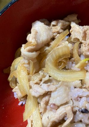 ウチの豚丼-レシピのメイン写真