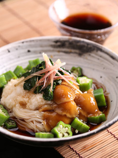 天然だしパックで作る ぶっかけそうめん-レシピのメイン写真