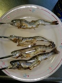 ヤマメ (山女) の塩焼き-レシピのメイン写真