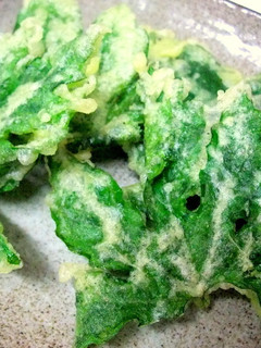 夏限定!!ゴーヤの葉の天ぷら-レシピのメイン写真