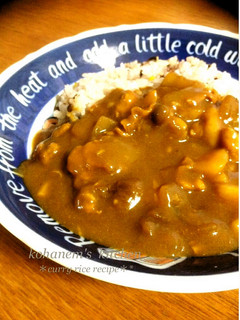 赤ワイン仕立てのカレーライス☆-レシピのメイン写真