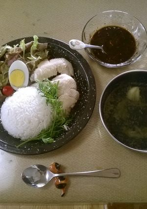 海南鶏飯　手羽先ばーじょん-レシピのメイン写真