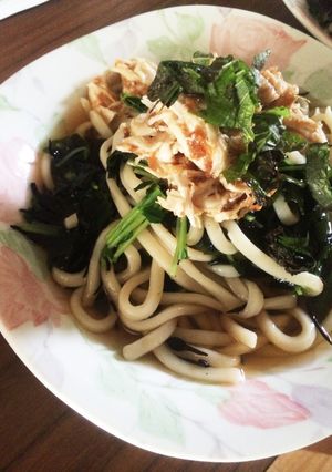 乾物タップリ♪冷やし梅肉鶏うどん-レシピのメイン写真