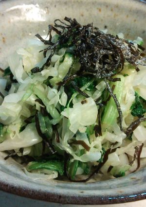 茹でキャベツの塩こんぶ和え-レシピのメイン写真