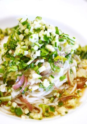 薬味たっぷりぶっかけうどん-レシピのメイン写真
