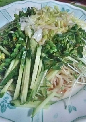冷やし中華(ｺﾞﾏﾀﾞﾚ)-レシピのメイン写真