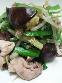 豚こまともやしの中華炒め-レシピのメイン写真