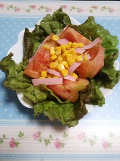 グリーンサラダ-レシピのメイン写真