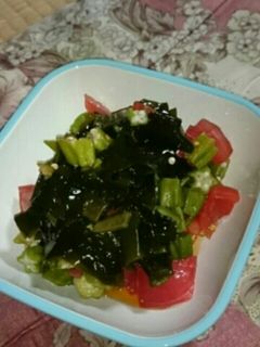 オクラとワカメの和え物-レシピのメイン写真