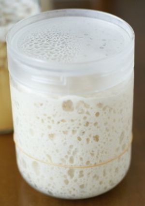 自家製酵母**元種作り方**-レシピのメイン写真