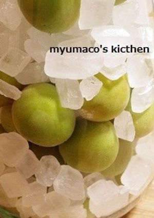 梅シロップ（杏子シロップも）-レシピのメイン写真