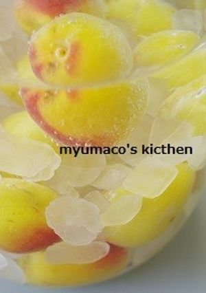 梅酒（杏子酒も）-レシピのメイン写真