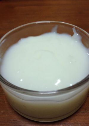 ゼラチン不要！簡単牛乳プリン-レシピのメイン写真