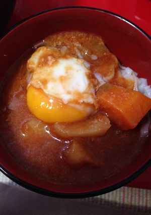 野菜ジュースカレー-レシピのメイン写真