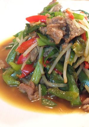 青椒肉絲風★野菜とお肉の中華炒め-レシピのメイン写真