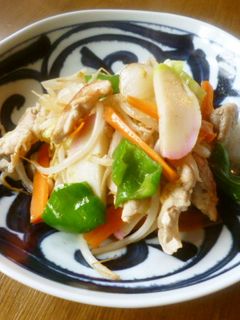 塩野菜炒め♪-レシピのメイン写真