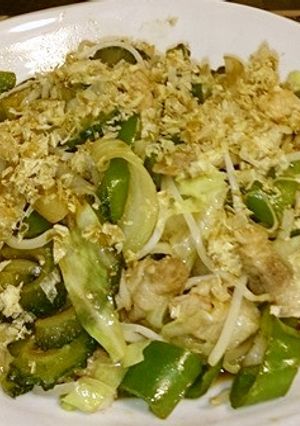 肉ガッツリゴーヤ入り野菜炒め-レシピのメイン写真