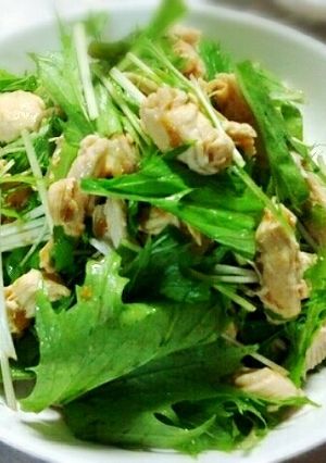 ささみと水菜のさっぱりサラダ-レシピのメイン写真