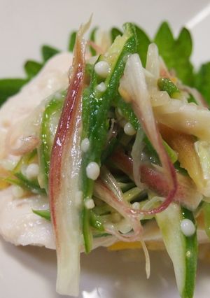 鶏むね肉の塩レモン蒸し夏野菜のせ-レシピのメイン写真