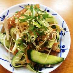 鶏皮 ネギラー油和え-レシピのメイン写真