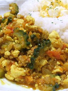 夏のカレー☆ゴーヤー&豆腐ドライカレー-レシピのメイン写真