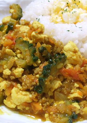 夏のカレー☆ゴーヤー＆豆腐ドライカレー-レシピのメイン写真