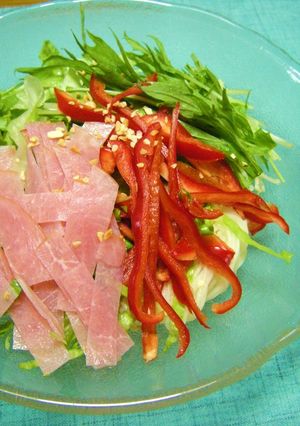 野菜たっぷり❤サラダそうめん❤-レシピのメイン写真