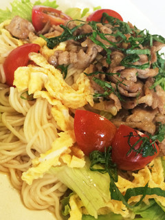 具だくさん素麺-レシピのメイン写真