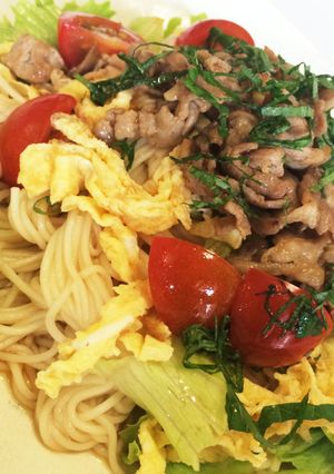 具だくさん素麺-レシピのメイン写真