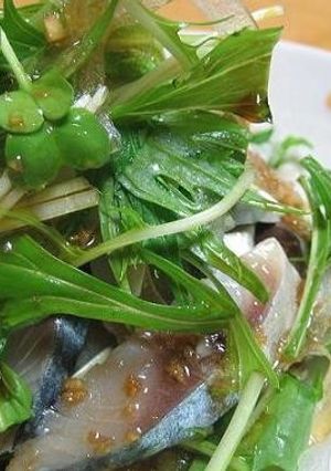 ◆簡単!しめサバと野菜のサラダ♪◆-レシピのメイン写真