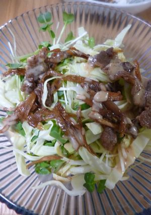 サラダ(牛肉の佃煮をトッピング)-レシピのメイン写真