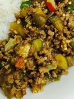 焼肉のタレで♪白ナスと合挽き肉のそぼろ丼-レシピのメイン写真