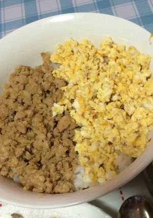 ヘルシー☆おから鳥そぼろ丼☆-レシピのメイン写真